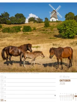 Skandinavien Wochenplaner Kalender 2026 | Der Zauber des hohen Nordens-Ackermann Kunstverlag Best