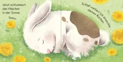 Streichle das kleine Häschen-Usborne Verlag Discount