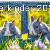 Tierkinder auf dem Bauernhof Kalender 2026-Heel Verlag GmbH Outlet