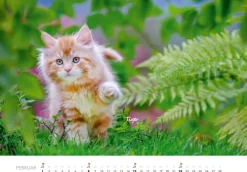 Tierkinder auf dem Bauernhof Kalender 2026-Heel Verlag GmbH Outlet