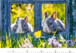 Tierkinder auf dem Bauernhof Kalender 2026-Heel Verlag GmbH Outlet