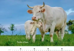 Tierkinder auf dem Bauernhof Kalender 2026-Heel Verlag GmbH Outlet
