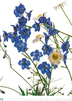 DuMont Kalenderverlag Titel DUMONT Best of Flora 2026 - Blumen-Kalender 50 x 70 cm, Foto-Poster im Großformat von Tan Kadam für Kunst- & Pflanzenliebhaber Hot