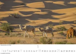 Casares Fine Art Edition Tunesien Kalender 2026 - Wandkalender | Fotokalender Afrika 24x35 cm: Hochwertige Fotos, die die Kultur, Landschaften und Sehenswürdigkeiten Tunesiens zeigen. Outlet