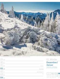 Unser Wald Wochenplaner Kalender 2026-Ackermann Kunstverlag Online
