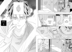 Unsere Liebe aus einem anderen Leben-Egmont Manga Online