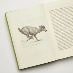 Carl Hanser Verlag Urwelten
