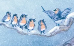 Wandkalender - Weihnachten auf dem Mühlenhof-Coppenrath Best