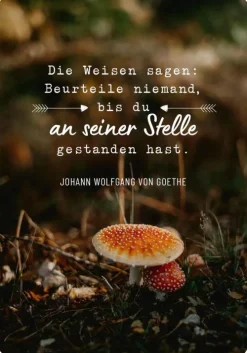 Ars Edition GmbH Weisheiten für die Seele Online