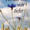 Neue Stadt Verlag GmbH Wer älter wird, sieht tiefer. Großdruck Discount