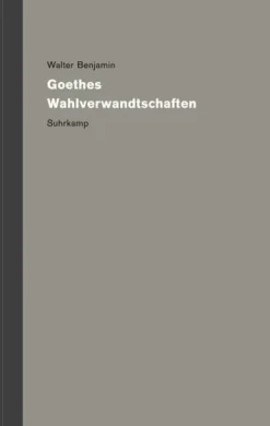 Werke und Nachlaß. Kritische Gesamtausgabe Band 4-Suhrkamp Verlag Clearance
