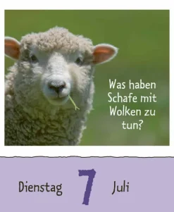 Wie faul ist das Faultier? 2026-Korsch Verlag GmbH Hot
