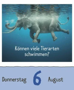 Wie faul ist das Faultier? 2026-Korsch Verlag GmbH Hot