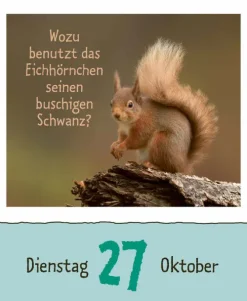 Wie faul ist das Faultier? 2026-Korsch Verlag GmbH Hot