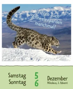 Wie faul ist das Faultier? 2026-Korsch Verlag GmbH Hot
