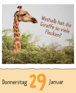 Wie faul ist das Faultier? 2026-Korsch Verlag GmbH Hot