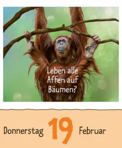 Wie faul ist das Faultier? 2026-Korsch Verlag GmbH Hot