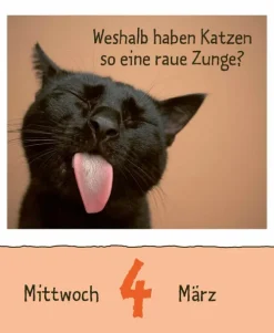 Wie faul ist das Faultier? 2026-Korsch Verlag GmbH Hot