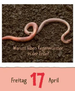 Wie faul ist das Faultier? 2026-Korsch Verlag GmbH Hot