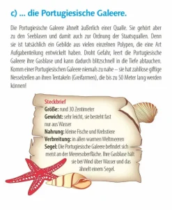 Wie faul ist das Faultier? 2026-Korsch Verlag GmbH Hot