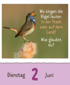 Wie faul ist das Faultier? 2026-Korsch Verlag GmbH Hot