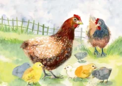 Wie lebt das Huhn? Kamishibai Bildkartenset.-Don Bosco Medien GmbH New