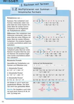 Wissen - Üben - Testen: Mathematik 8. Klasse-Bibliograph. Instit. GmbH Outlet