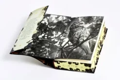 Witches of Deadly Sins-Penguin Verlag Outlet
