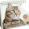 Groh Verlag Wochenkalender 2026: Kluge Katzen Online