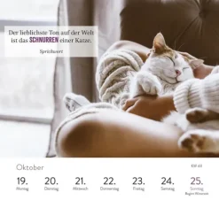 Groh Verlag Wochenkalender 2026: Kluge Katzen Online