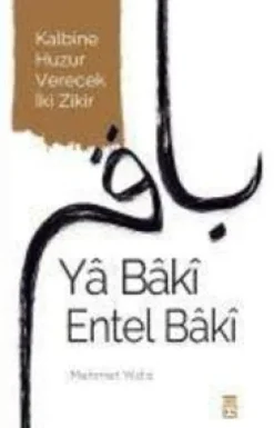 Timas Yayinlari Ya Baki Entel Baki Sale